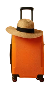 Servicio de Ventanilla Electrónica de Servicios - VES