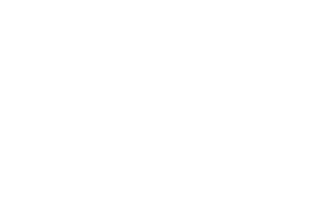 logo-1311-2022-01